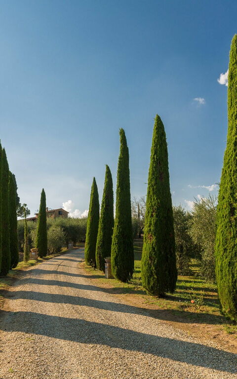 Villa Poggiospinoso: Visninger