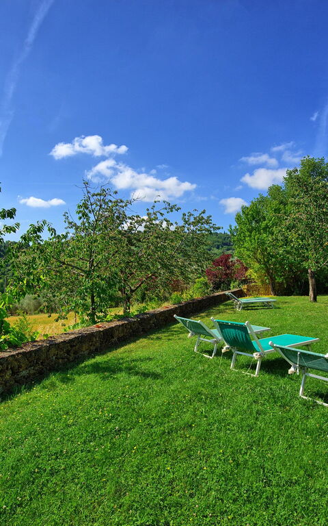 Villa Sarteano: Have