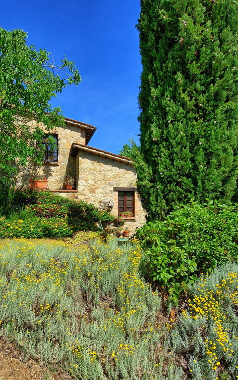 Villa Sarteano: Have, Udvendige