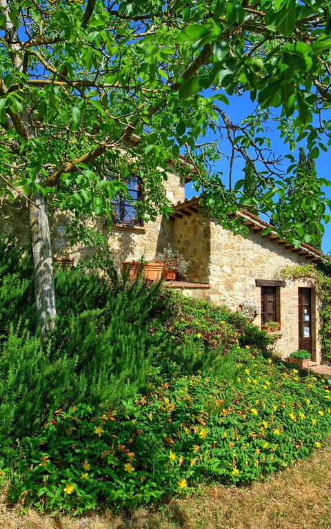 Villa Sarteano: Have