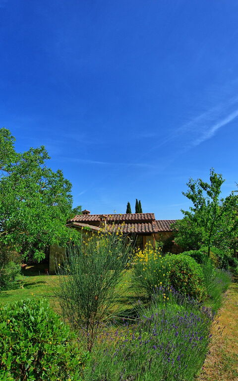 Villa Sarteano: Have