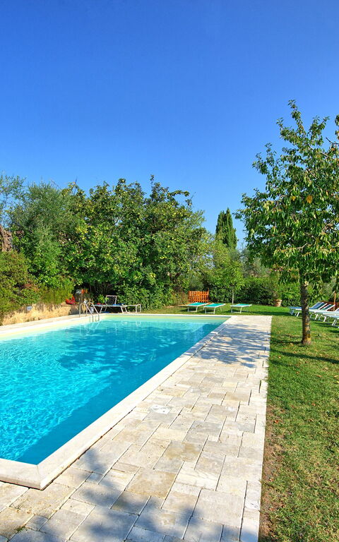 Villa Sarteano: pool