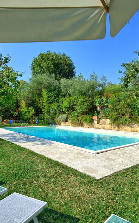 Villa Sarteano: pool