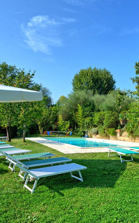 Villa Sarteano: pool