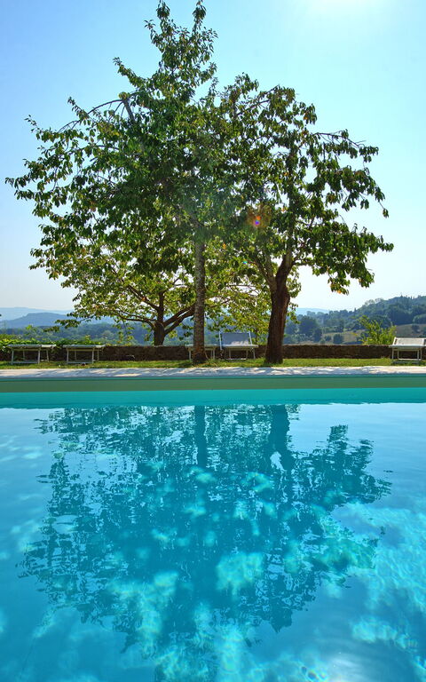 Villa Sarteano: pool