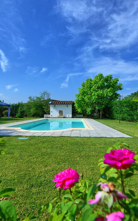 Casale Tiziano: pool