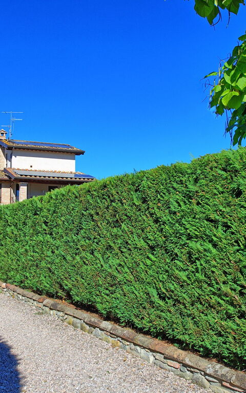 Casale Tiziano: Udendørs