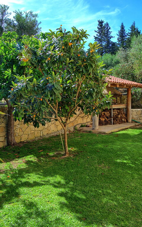 Villa Vrisses: Have, Udendørs