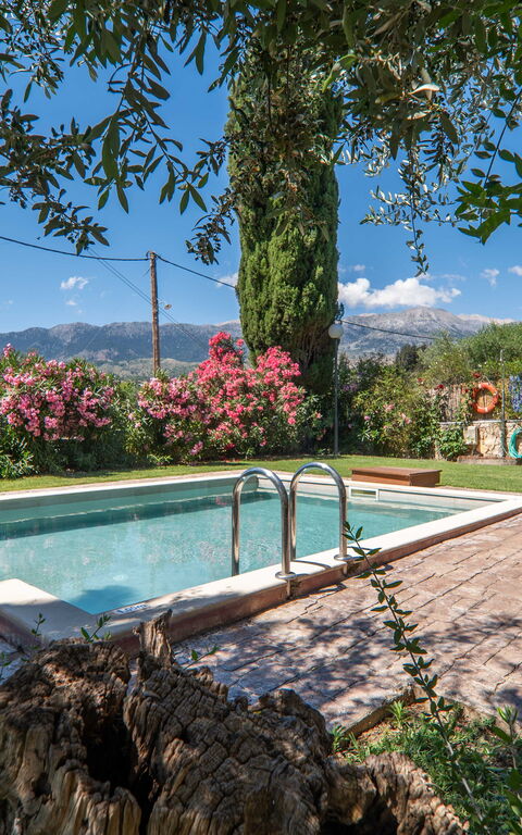 Villa Vrisses: Have, pool, Udendørs, Udvendige