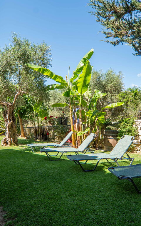 Villa Vrisses: Have, pool, Udendørs