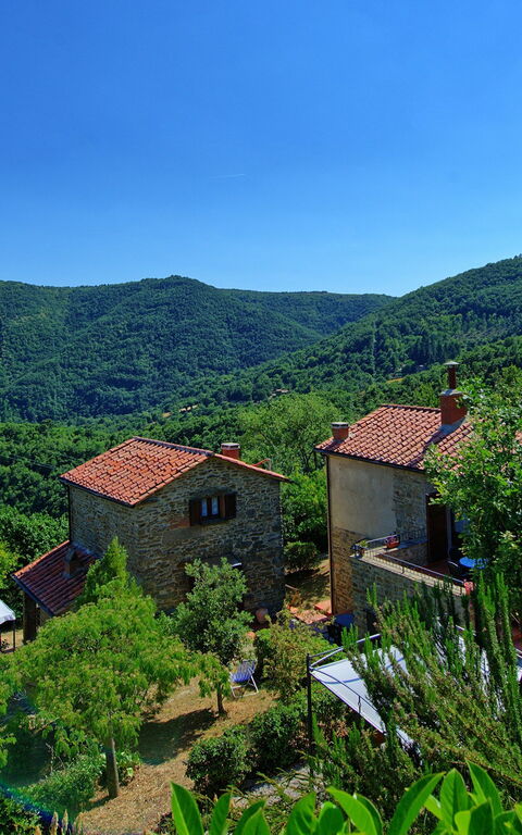 Borgo Veronica: Have