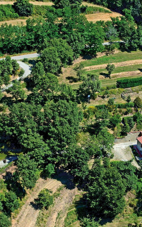 Borgo Veronica: Visninger