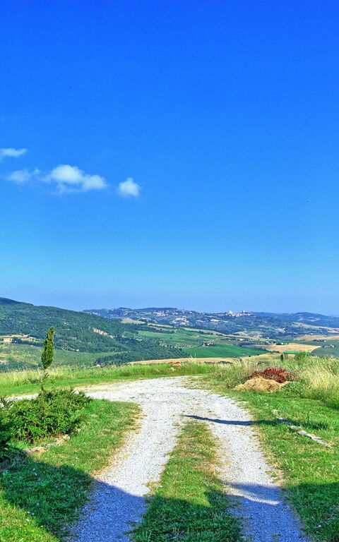 Casale Santa Francesca: Have, Udendørs, Visninger