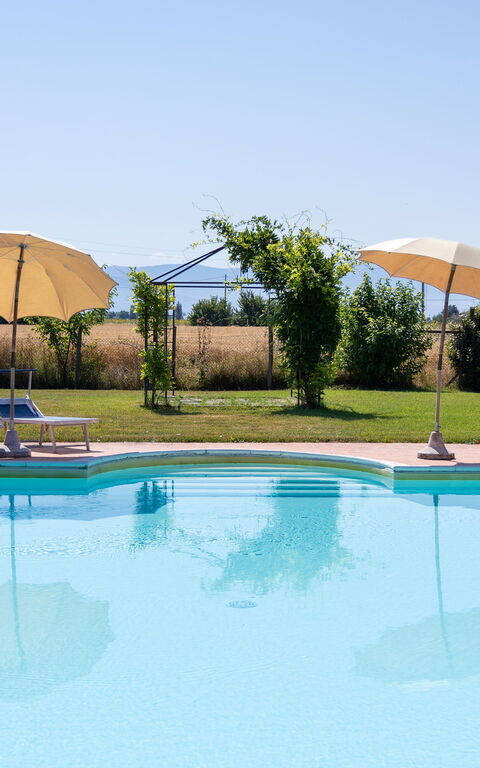 Villa Assisi: Have, pool, Udendørs, Udvendige