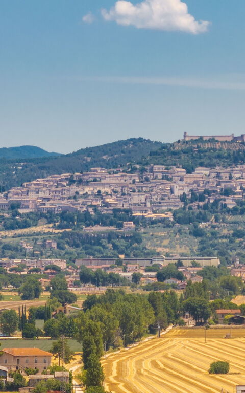 Villa Reale: Visninger