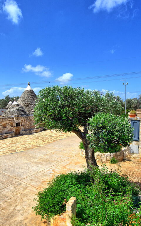 Trullo Santo Stefano: Have, Udendørs