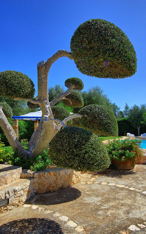 Lamia Santo Arcangelo: Have