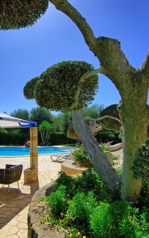 Lamia Santo Arcangelo: Have, pool, Udvendige