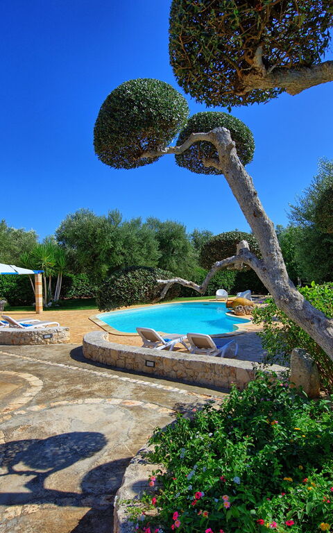 Lamia Santo Arcangelo: Have, pool