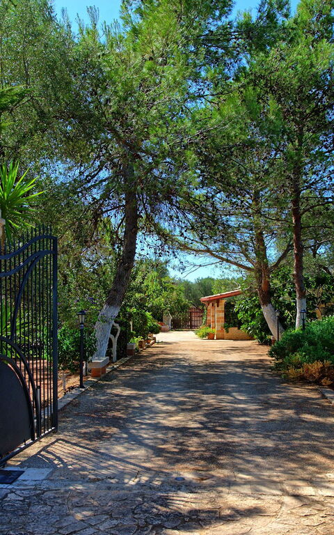 Lamia Santo Arcangelo: Have