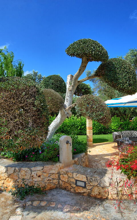 Lamia Santo Arcangelo: Have, Udendørs