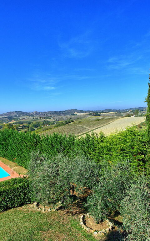 Casa Vasco: Visninger