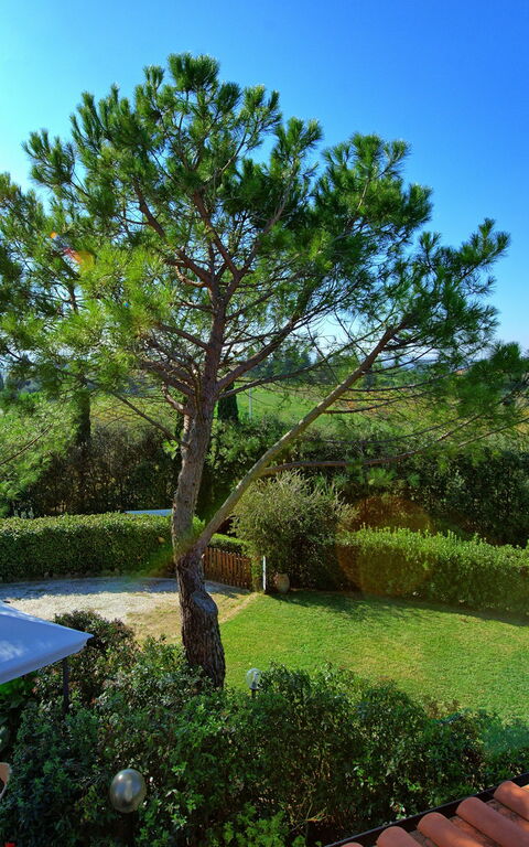 Casa Vasco: Visninger