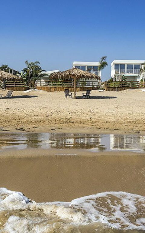 Villa Ariel: Visninger