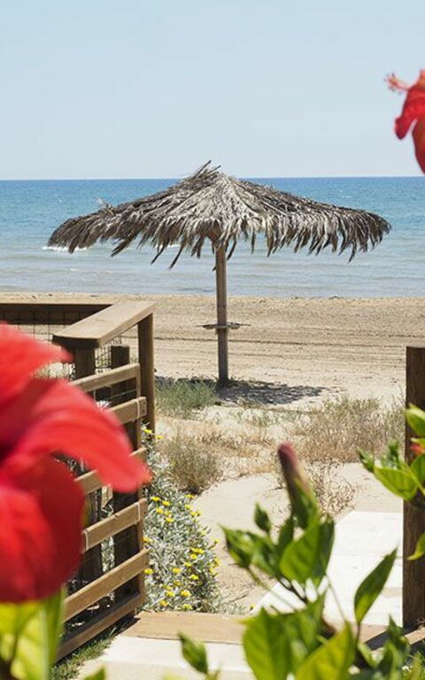 Villa Ariel: Udendørs