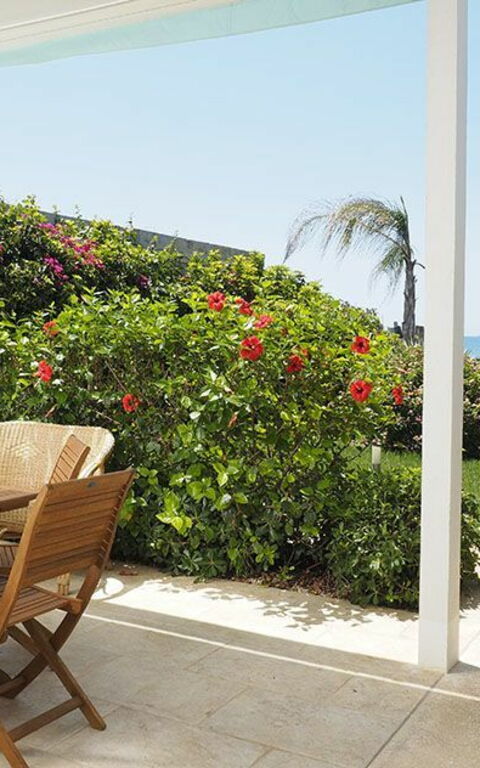 Villa Ariel: Have, Udendørs