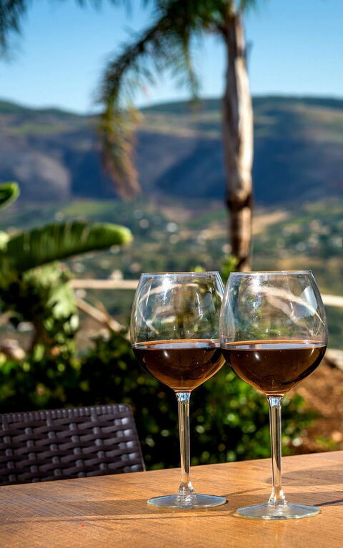 Villa Le Muse: Udendørs