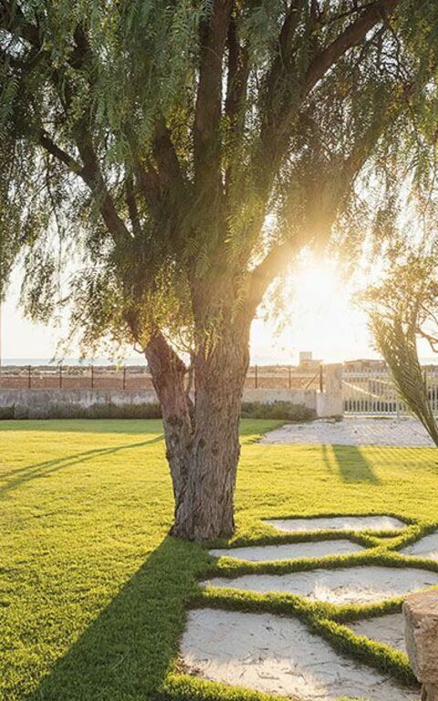 Villa Salinella: Have