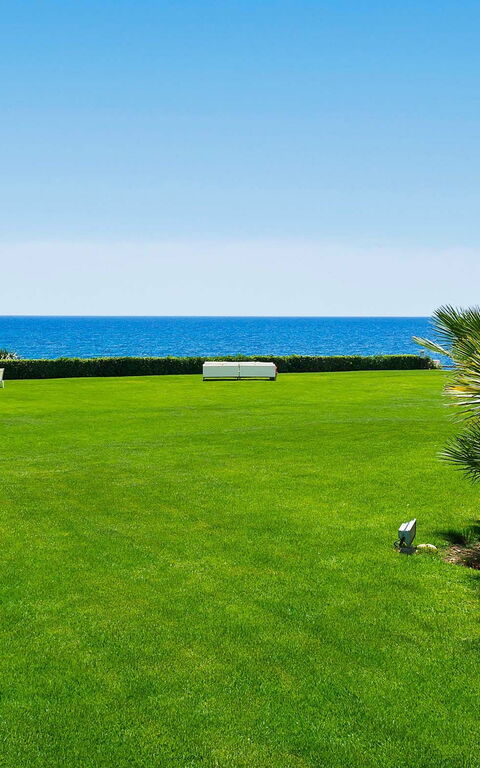 Blu Moon: Have, Visninger