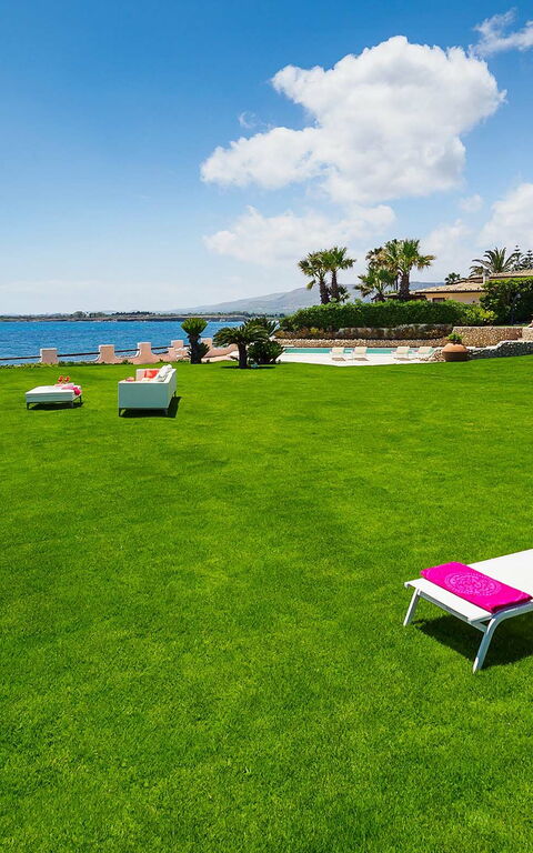 Blu Moon: Have, Visninger