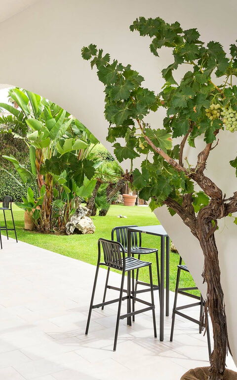 Blu Moon: Altan / terrasse / gårdhave, Udendørs