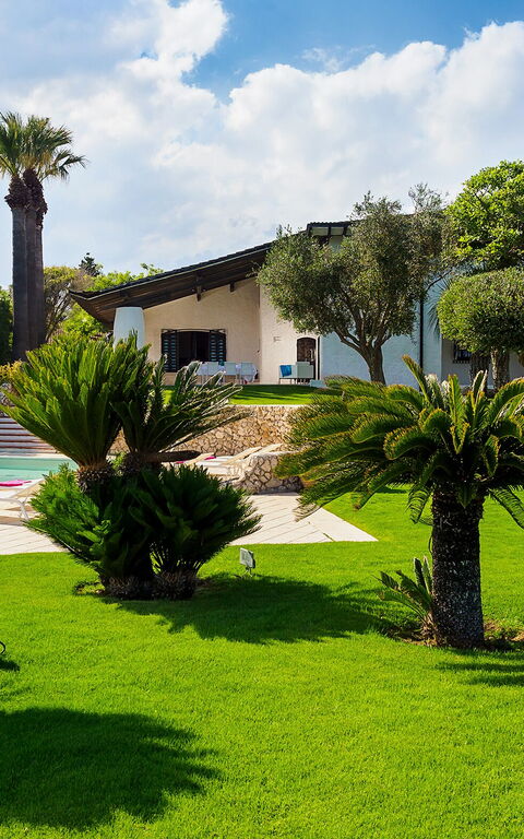 Blu Moon: Have, pool, Udendørs, Udvendige