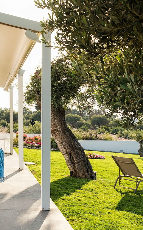 Villa Nettuno: Have, Udendørs