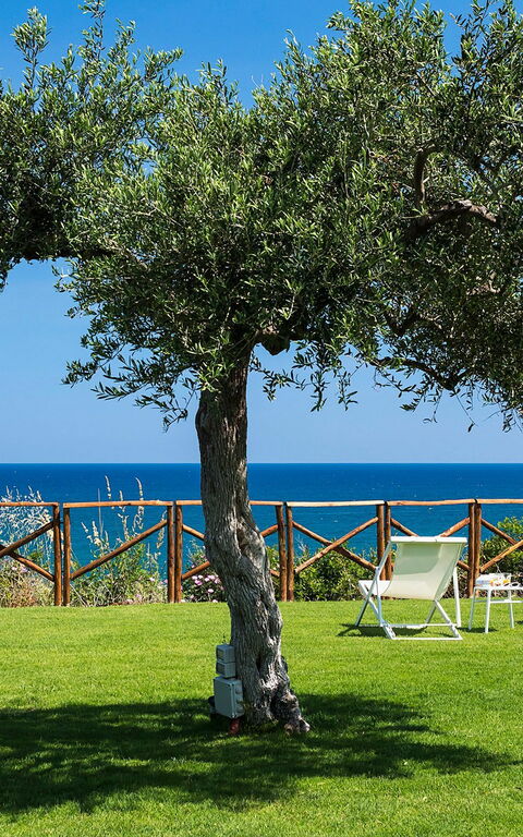 Villa Nettuno: Have, Udendørs