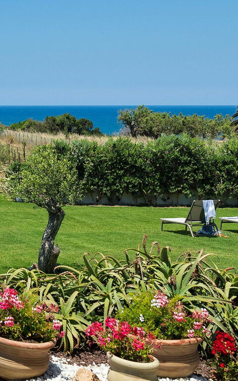 Villa Nettuno: Have, Udendørs