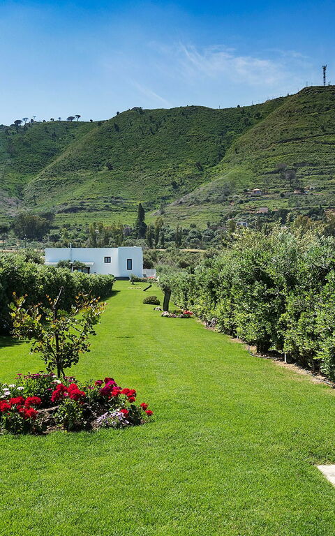 Villa Nettuno: Have, Udendørs