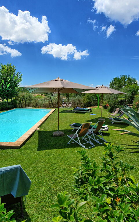 Villa Sonia: pool, Udendørs