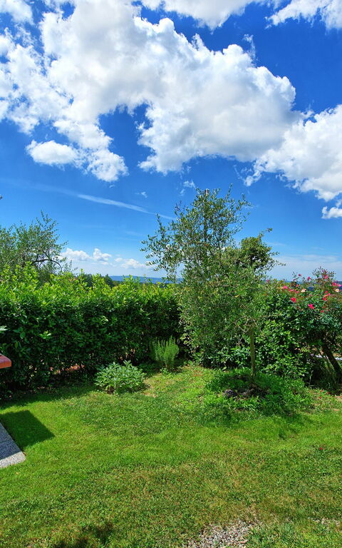 Villa Sonia: Udendørs