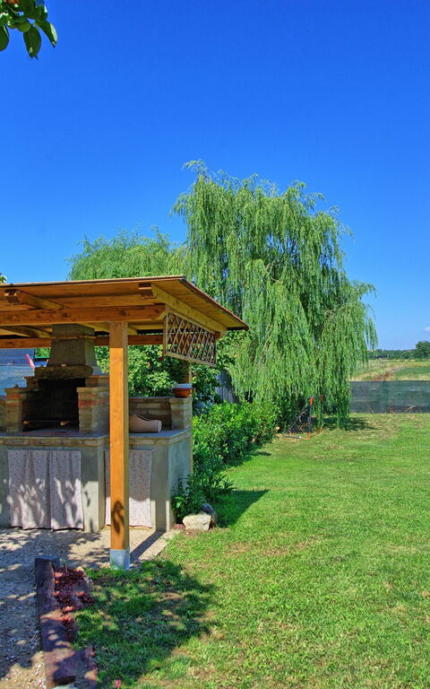 Casa Violina: Altan / terrasse / gårdhave, Have