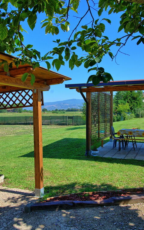 Casa Violina: Altan / terrasse / gårdhave, Have