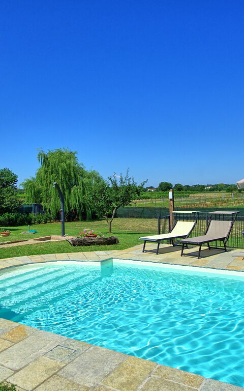 Casa Violina: Have, pool