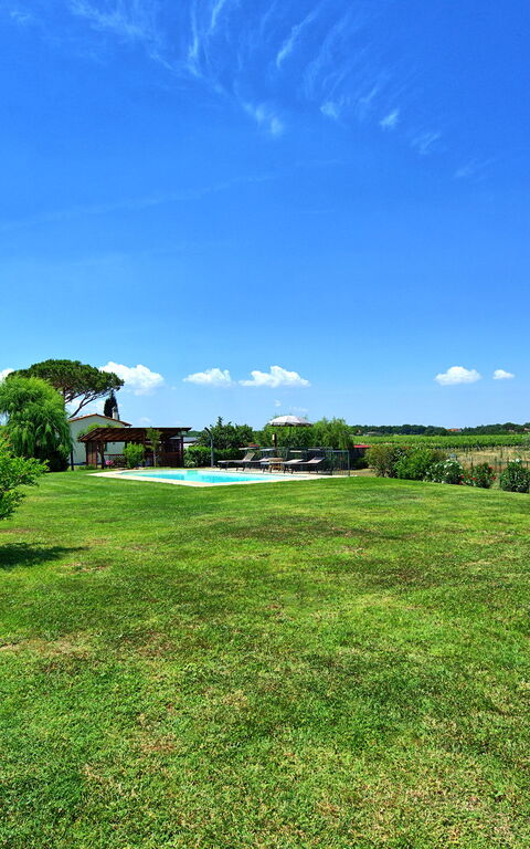 Casa Violina: Have, Udendørs