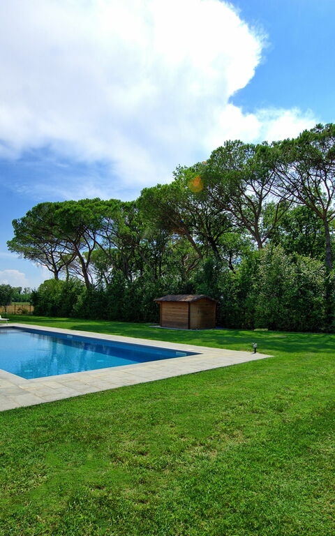 Villa Cangeli: Have, pool, Udendørs