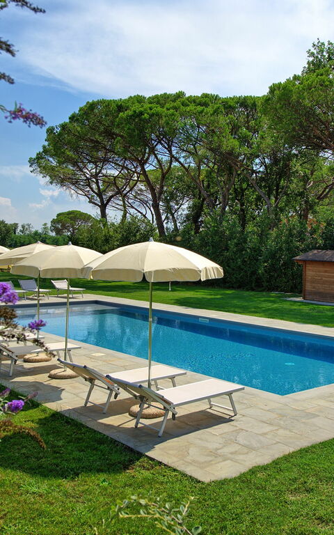 Villa Cangeli: Have, pool, Udendørs