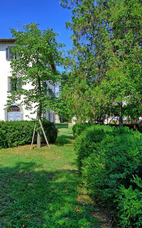 Villa Cangeli: Have, Udendørs