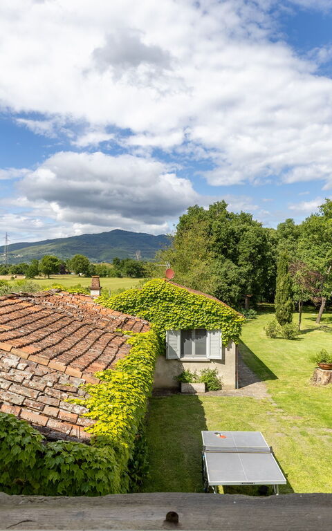 Villa Cangeli: Udendørs, Visninger